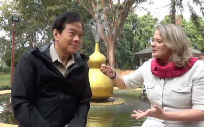 Interview Mantak Chia : La vision taoïste des bienfaits de L’Arbre