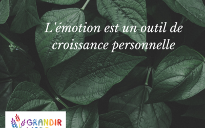 L’émotion, un outil de croissance personnelle