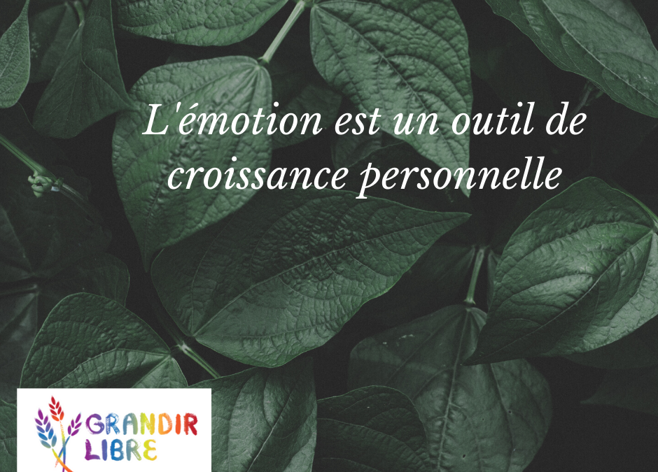 L’émotion, un outil de croissance personnelle