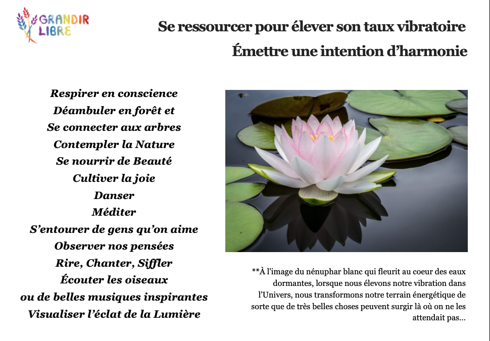 Pour accompagner l’évolution historique en cours…